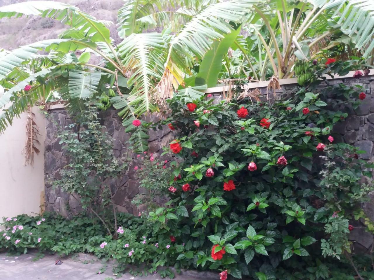 Ribeira Grande Country House Cha de Arroz Exterior foto